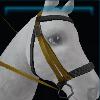 Yellow adventure bridle