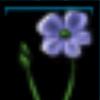 Flax_Name