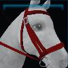 Christmas bridle
