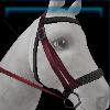 Purple adventure bridle