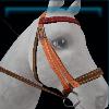 Brown frosty bridle