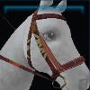 Brown hiking bridle