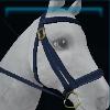 Eco-friendly competition bridle