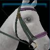 Green street bridle