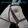 Dark burgundy sporty bridle