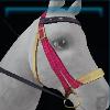 Cerise lotus bridle