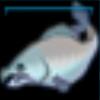 A real Valedale fish!
