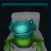 Lovely frog