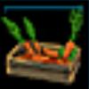 Box of carrots