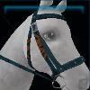 Blue fishing bridle