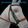 Brown-green coastal bridle