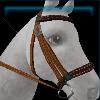 Brown farm bridle
