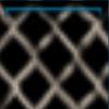 Fishing net