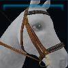 Real archeologist bridle
