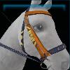 Orange beach bridle