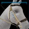 Fine Summer morning bridle