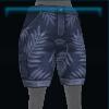 Blue beach shorts