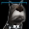 Techno the dog