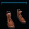 Brown Fall boots