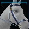 Timeless sporty bridle
