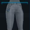 Gray Fall pants