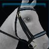 Snowflake bridle