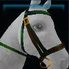Green Christmas bridle