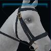 Dark bridle