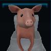 Goofy Pig