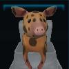 Spotty Pig