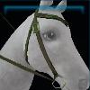 Firgrove western bridle