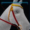 Goldenleaf western bridle