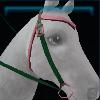 Valedale western bridle