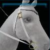 Snow western bridle