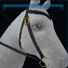 Green and black Jorvik western bridle