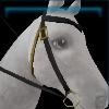 Mail-order western bridle
