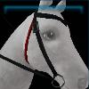 Nightrider western bridle