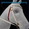 Pink western bridle
