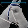 Night western bridle