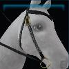 Rustic Jarla western bridle
