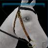 Sensational Jarla western bridle