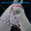 Warm Winter western bridle