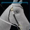 Cold Winter western bridle