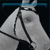 Christmassy western bridle