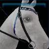 Rock western bridle