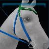 Summery treasure western bridle
