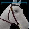 Red Fall western bridle