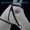 Witchy western bridle