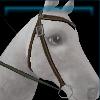 Green Winter western bridle