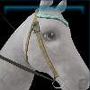 Celtic rookie western bridle